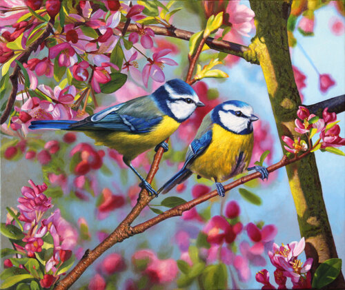 Herrerillos en Primavera von Javier Ramos Julián, Malerei kaufen auf Singulart