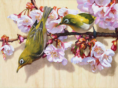 Anteojitos entre sakura von Javier Ramos Julián, Malerei kaufen auf Singulart