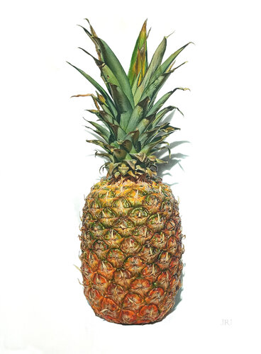 Corona Tropical van Javier Ramos Julián, Schilderij te koop op Singulart