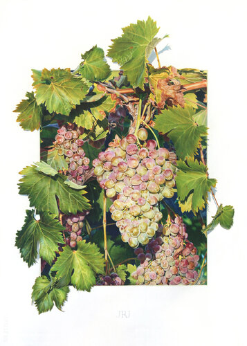 Corona Tropical di Javier Ramos Julián, Pittura in vendita su Singulart