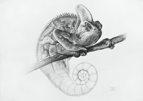 El Camuflaje del Camaleón by Javier Ramos Julián, Drawing for Sale on Singulart