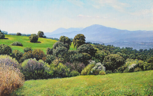 Mañana de Primavera by Javier Ramos Julián, 油畫 for Sale on Singulart