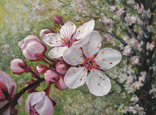 Flores de cerezo Javier Ramos Julián