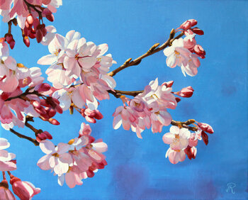 Sakura bajo el cielo azul Javier Ramos Julián