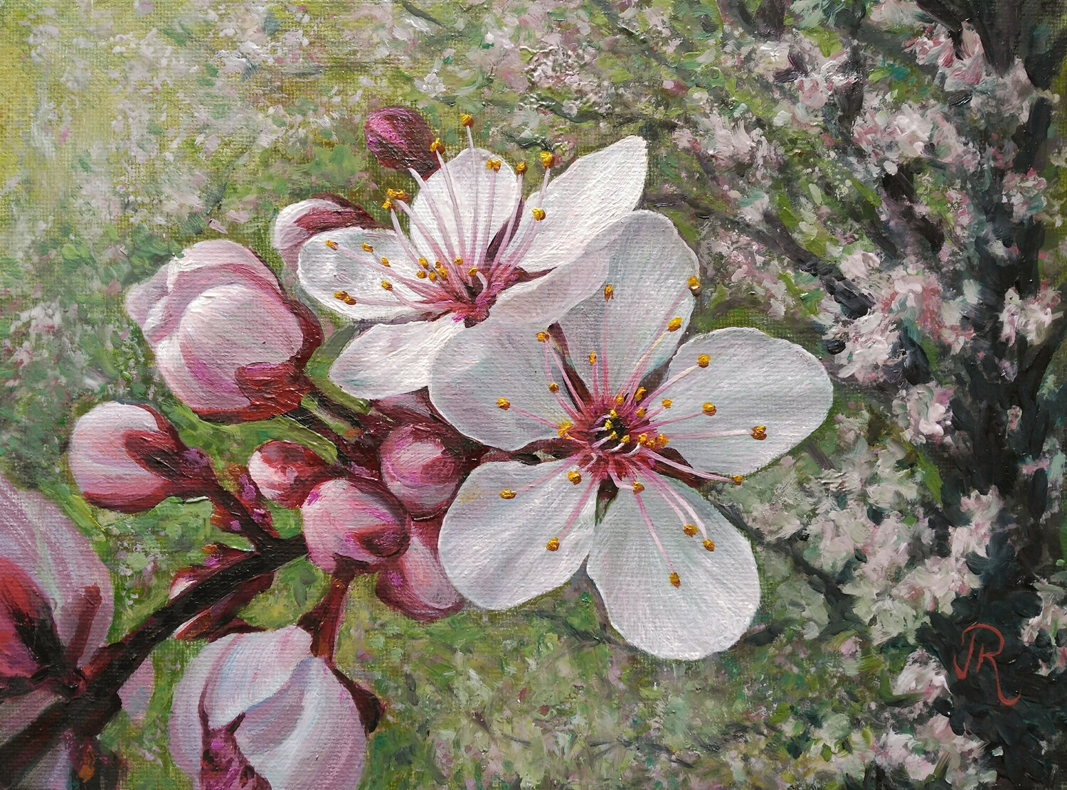 Flores de cerezo Javier Ramos Julián