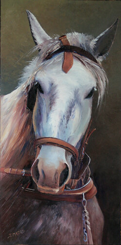 Le cheval Kéops van Jacques Majos, Schilderij te koop op Singulart