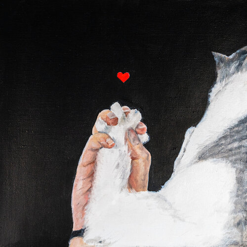 30x30 cm - Paw in Hand – A Heartfelt Moment of Love: Cat paw, Holding hands, Red heart, Human and pet connection, Love painting, Cat and human, Minimalist love art, Pet companionship, White cat, Tender moment, Animal art, Heartfelt connection, Love betwee van Victo, Schilderij te koop op Singulart