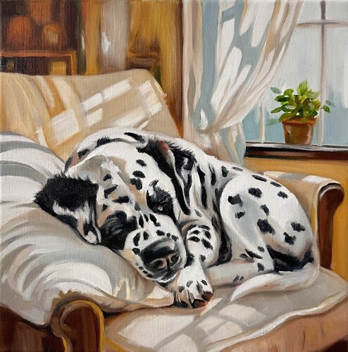 Safe Place | Resting Dalmatian in Sunlit Interior – Oil on Canvas 30x30 –  Animal Art van Victo, Schilderij te koop op Singulart
