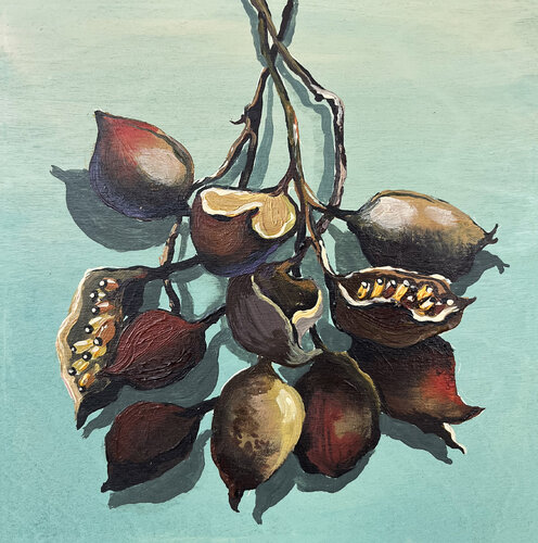 Seeds of Hidden Stories Maria Kireev