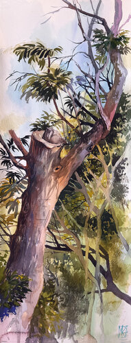 Light Between Branches by Maria Kireev, Work on Paper for Sale on Singulart