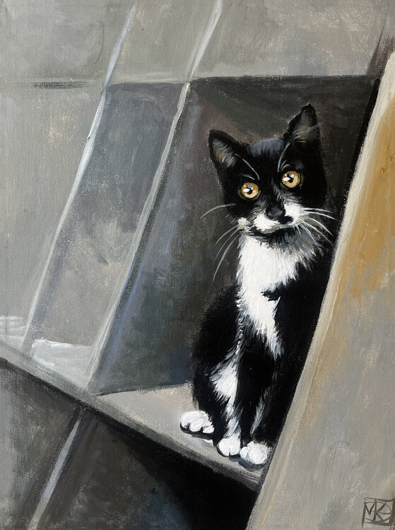 Whiskers in the Shadows Maria Kireev