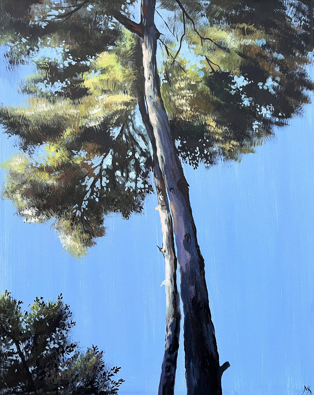 The sky of Jerusalem Maria Kireev