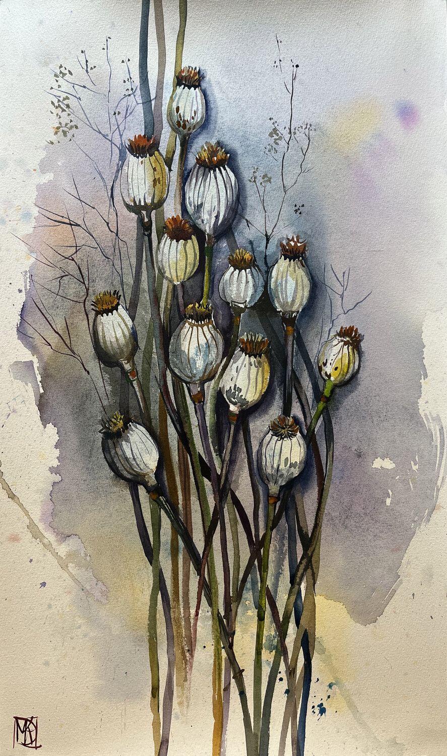 Dry Poppies Maria Kireev