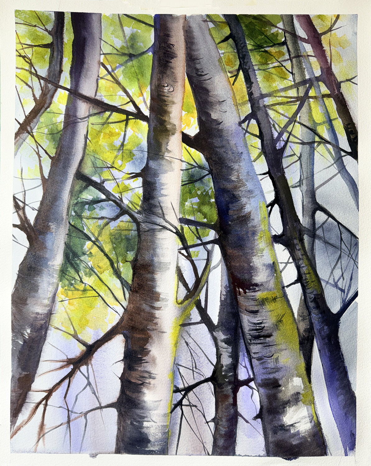 Tallwood Maria Kireev