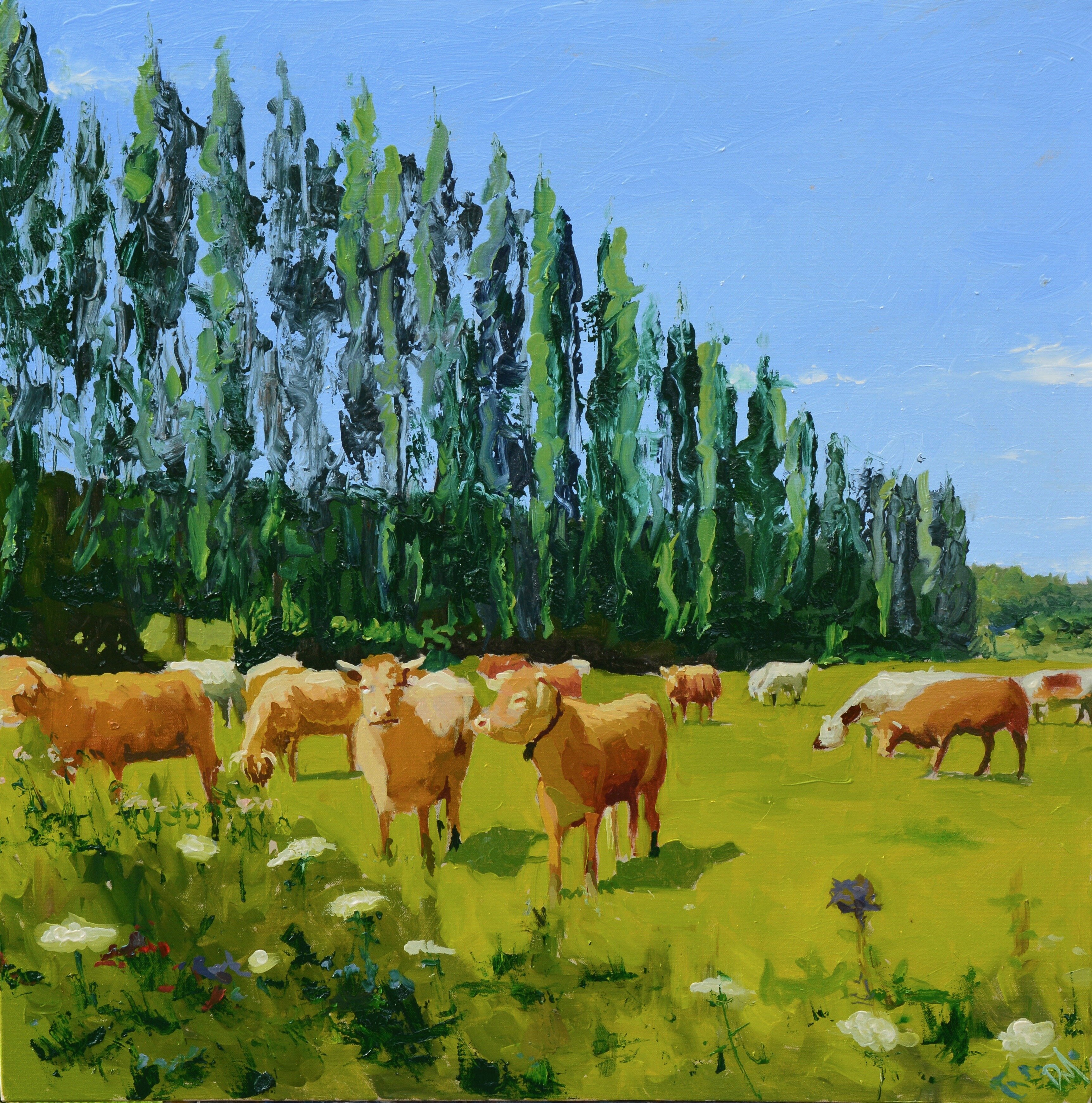 Tema Vacas Pinturas