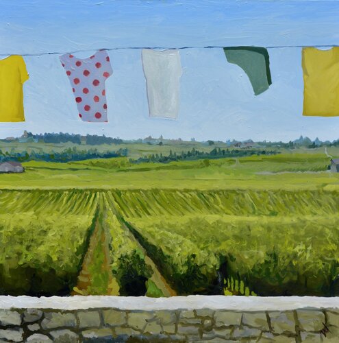 Tour de France in St Emillion vineyards van Daniel Murgatroyd, Schilderij te koop op Singulart