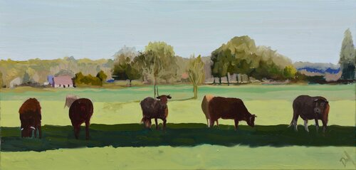 Five Cows van Daniel Murgatroyd, Schilderij te koop op Singulart