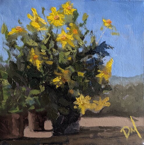 Daffodils Daniel Murgatroyd