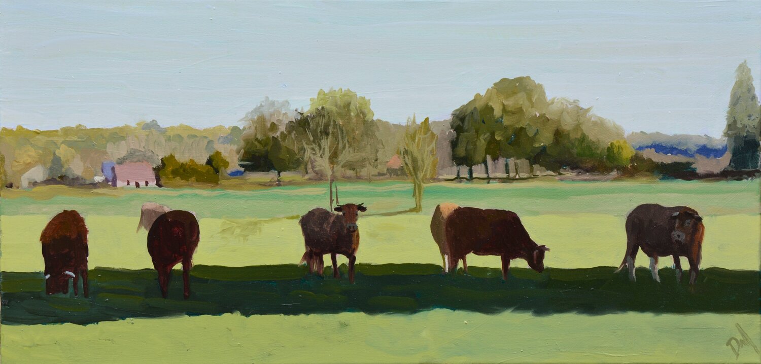 Five Cows Daniel Murgatroyd