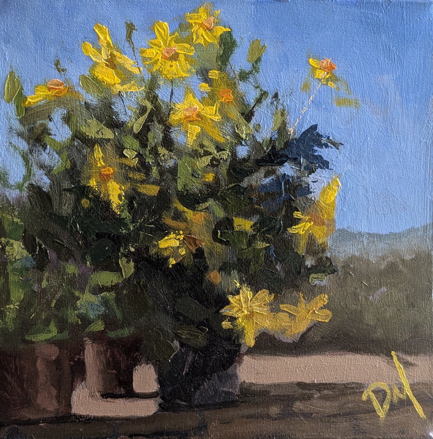 Daffodils Daniel Murgatroyd