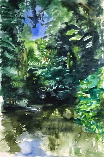 Regenwald 02 par Heribert Heere, Œuvre sur papier en vente sur Singulart