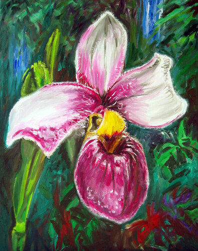 Orchidee 01 van Heribert Heere, Schilderij te koop op Singulart