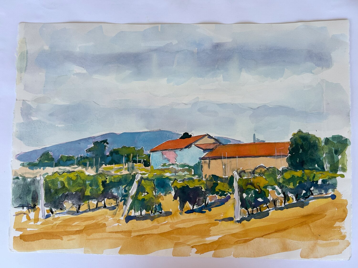 Aquarelle 024 - Abmessungen ohne Papier Passepartout Richard Friedt Dipinto originale in vendita