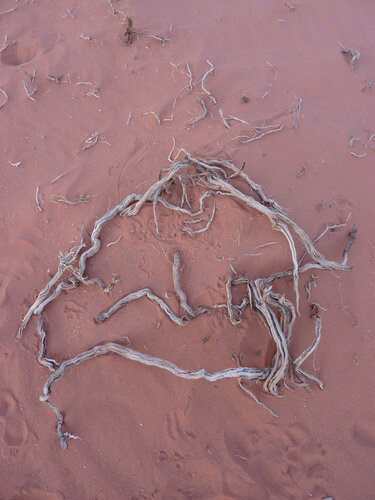 Mater Wadi rum von Alain Gestin, Fotografie kaufen auf Singulart