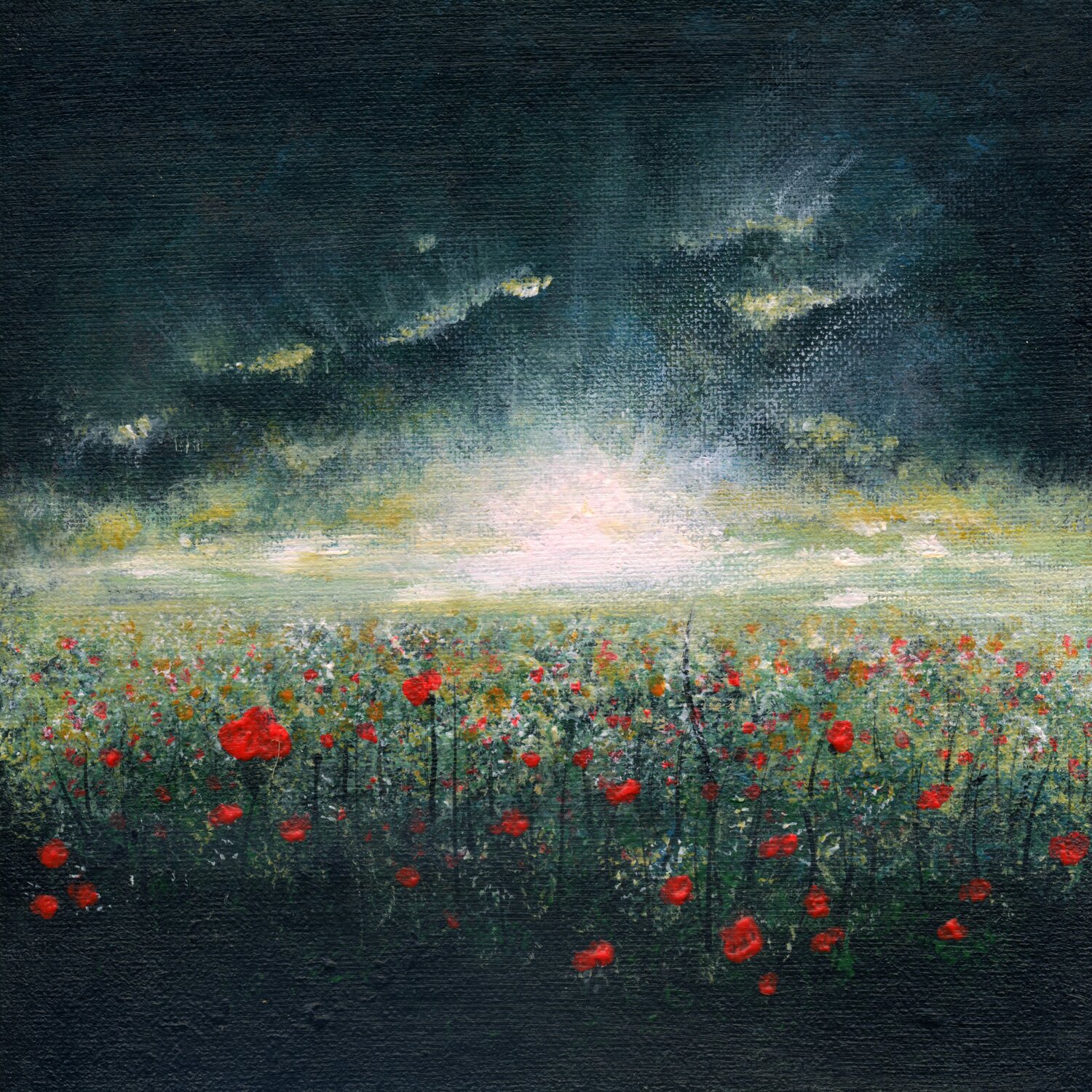 Poppy field Marina Okulova