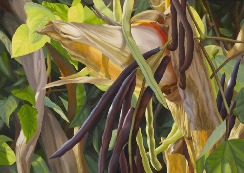 Ancient Garden Elizabeth Rickert