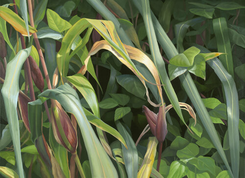 Verdant Diversity Elizabeth Rickert