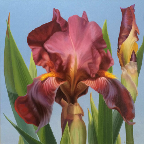 Crimsion Beauty di Elizabeth Rickert, Pittura in vendita su Singulart