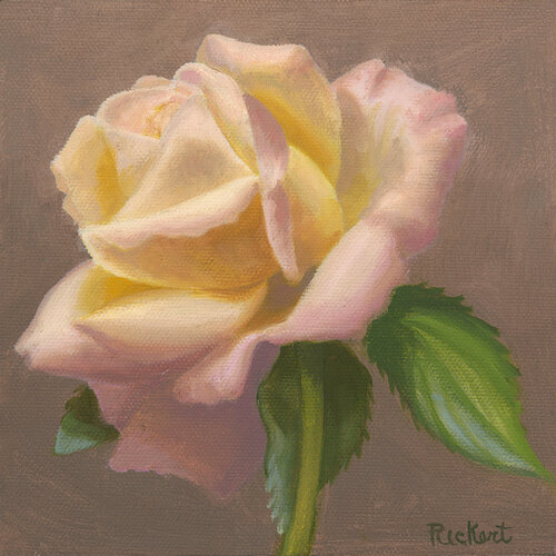 Soft Rose Elizabeth Rickert
