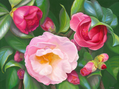 Butterfly Dream di Elizabeth Rickert, Pittura in vendita su Singulart