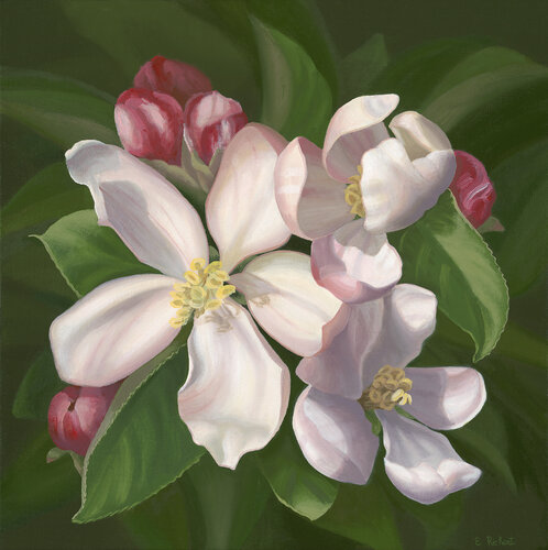 Apple Blossoms di Elizabeth Rickert, Pittura in vendita su Singulart