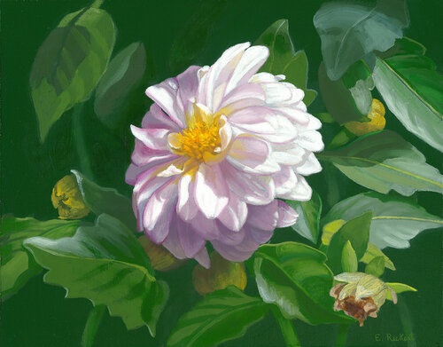 Sanctuary Elizabeth Rickert