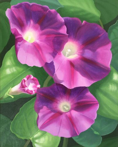 Morning Glories van Elizabeth Rickert, Schilderij te koop op Singulart