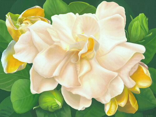 Full Radiance di Elizabeth Rickert, Pittura in vendita su Singulart