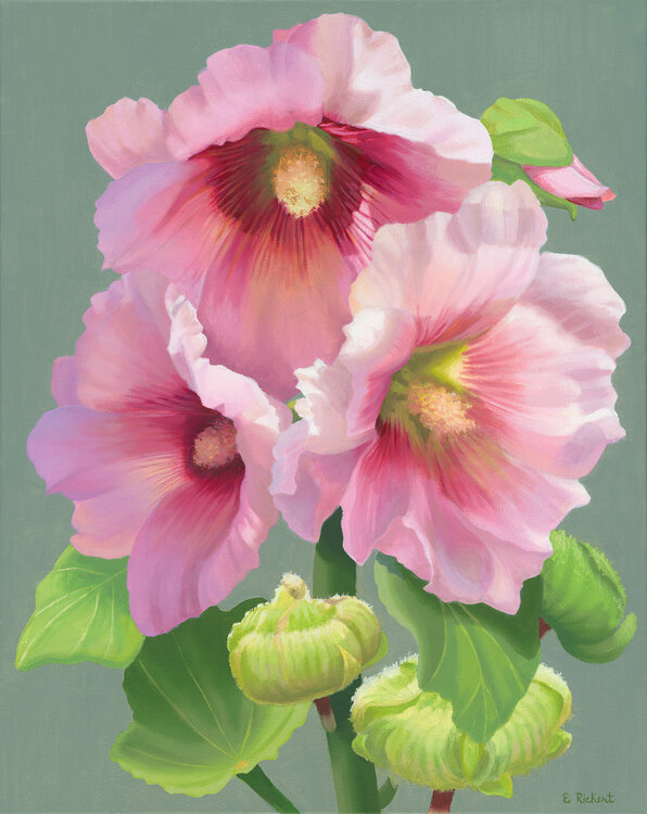 Hollyhock Elizabeth Rickert
