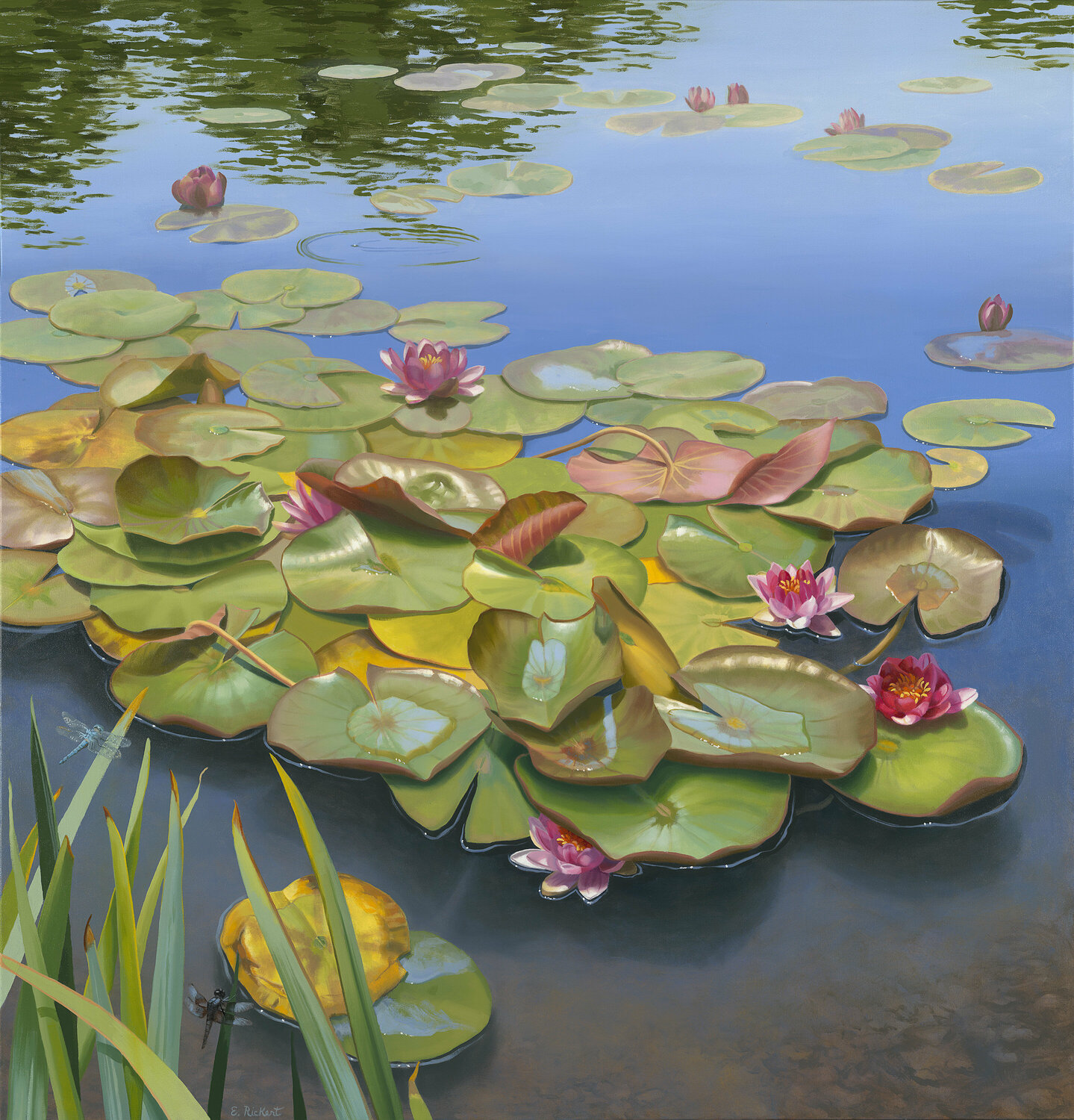 Buoyant Harmony Elizabeth Rickert