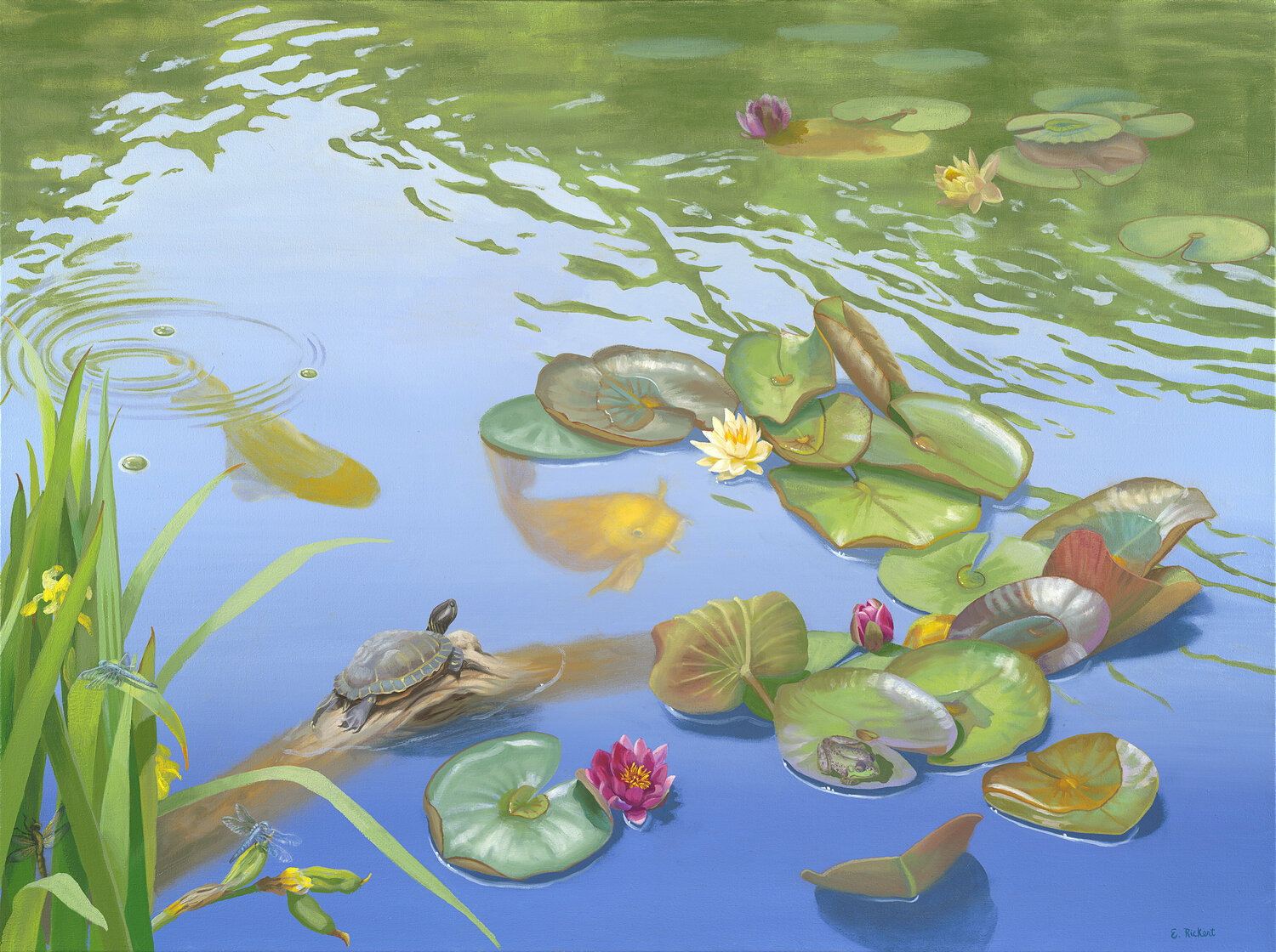 Teeming With Life Elizabeth Rickert