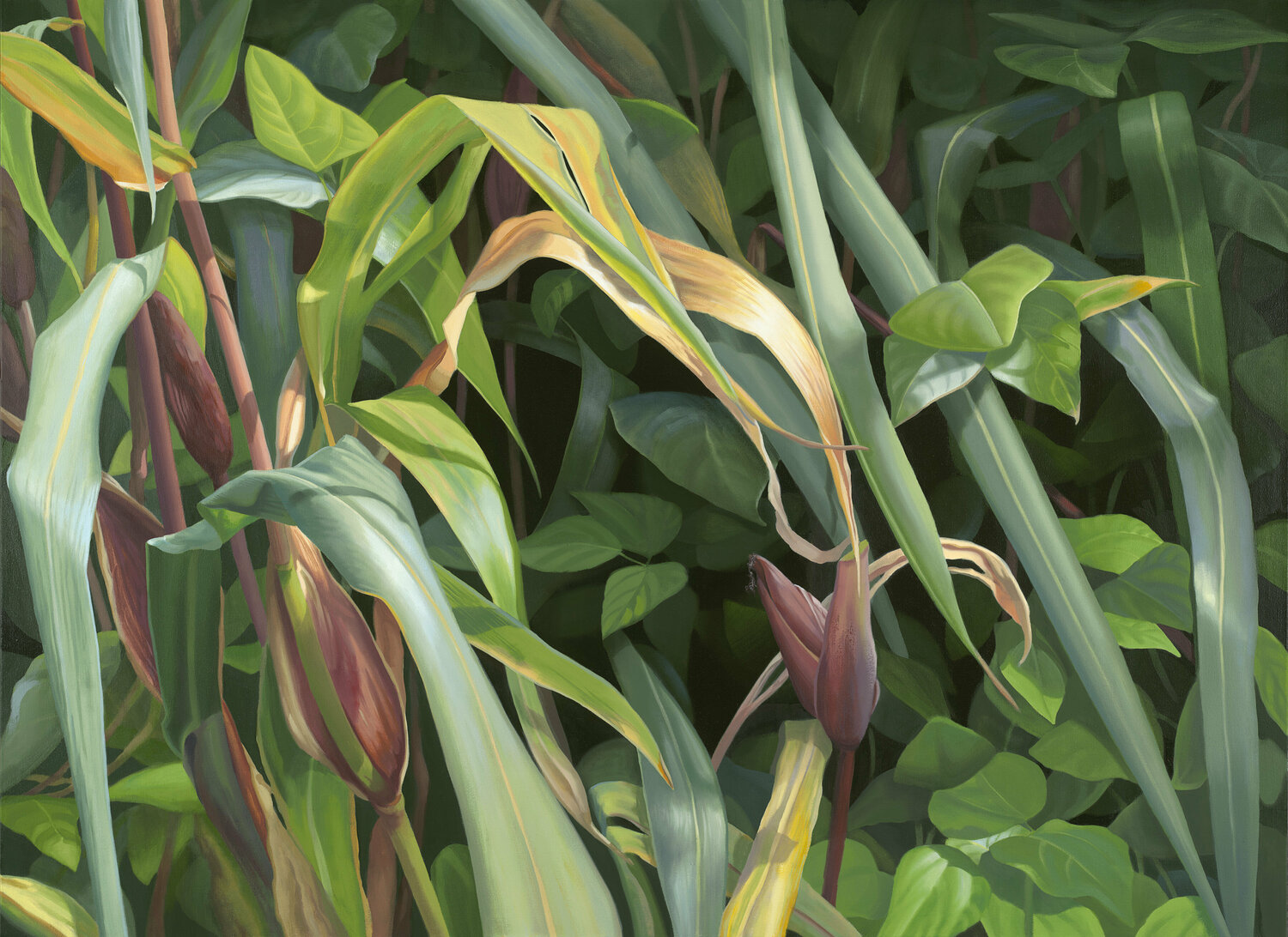 Verdant Diversity Elizabeth Rickert