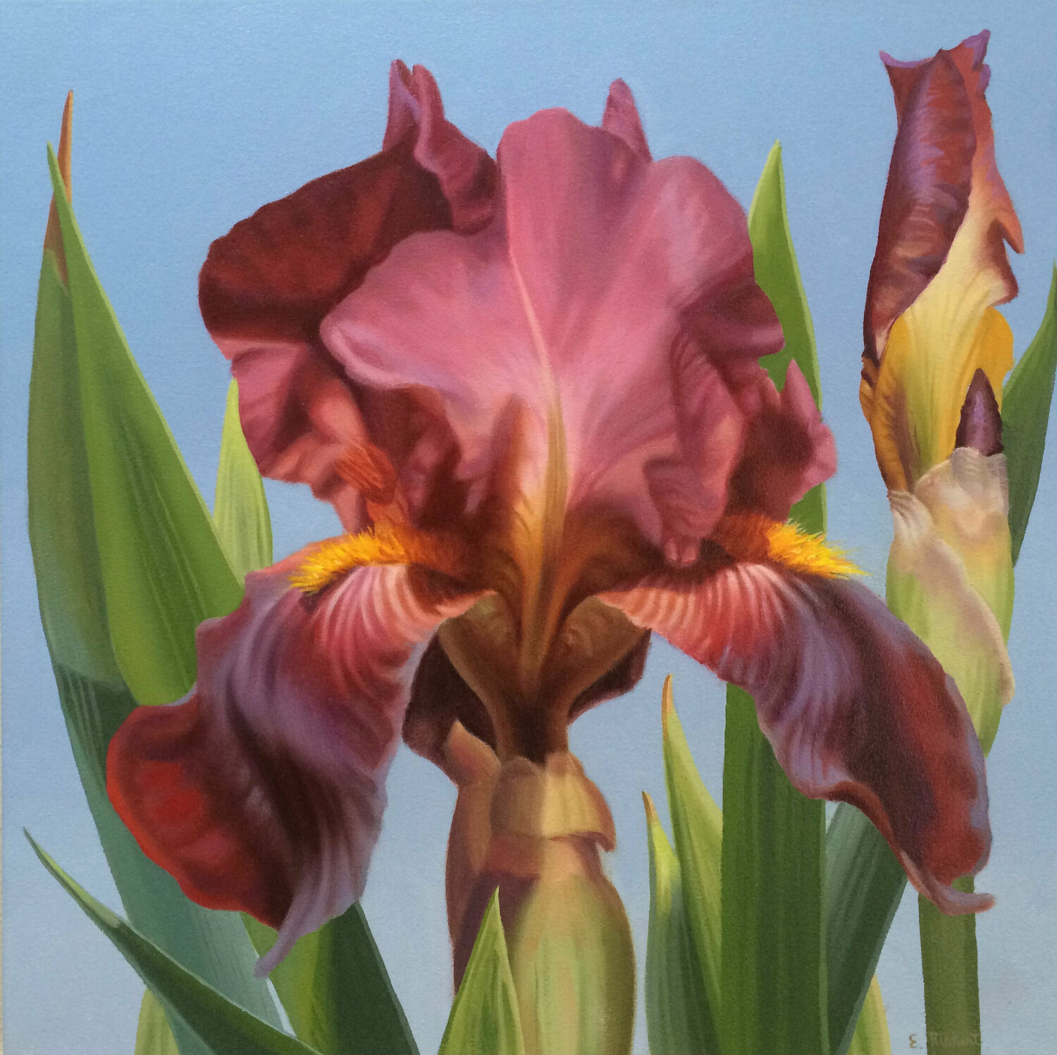 Crimsion Beauty Elizabeth Rickert