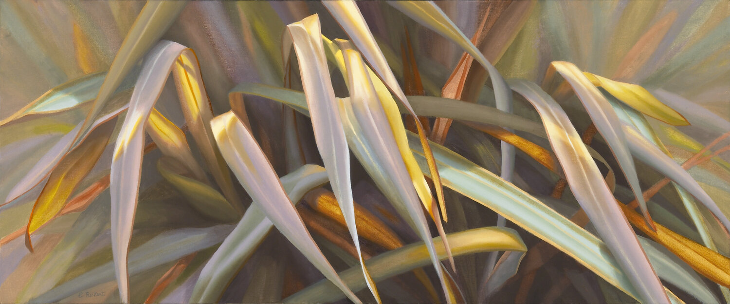 Freeze Frame Elizabeth Rickert