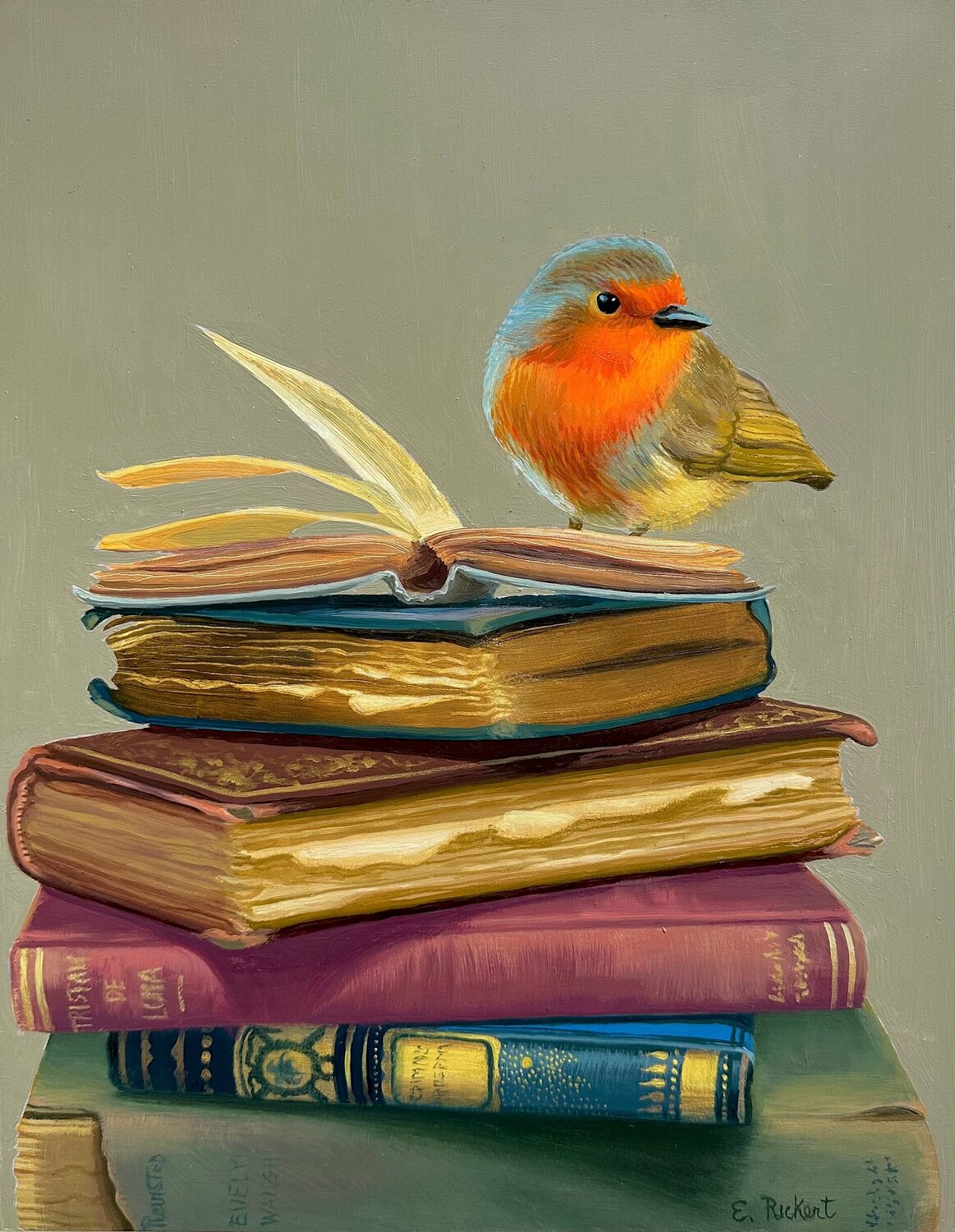 European Robin Elizabeth Rickert