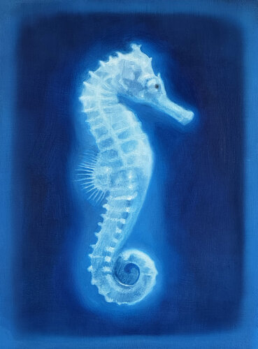 Seahorse von Lance Hewison, Malerei kaufen auf Singulart