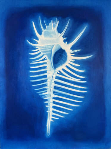 Venus Comb von Lance Hewison, Malerei kaufen auf Singulart