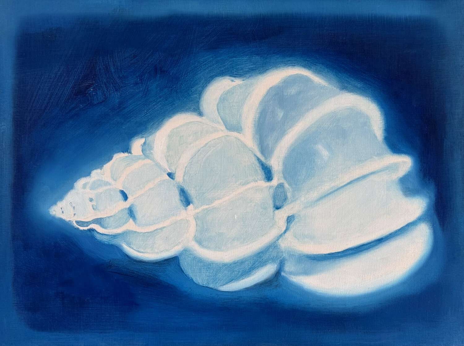 Spiral Shell Lance Hewison Original painting for sale
