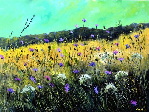 Wild flowers cornflowers 2022 van Pol Ledent, Schilderij te koop op Singulart