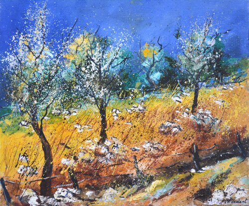 Blooming orchard di Pol Ledent, Pittura in vendita su Singulart